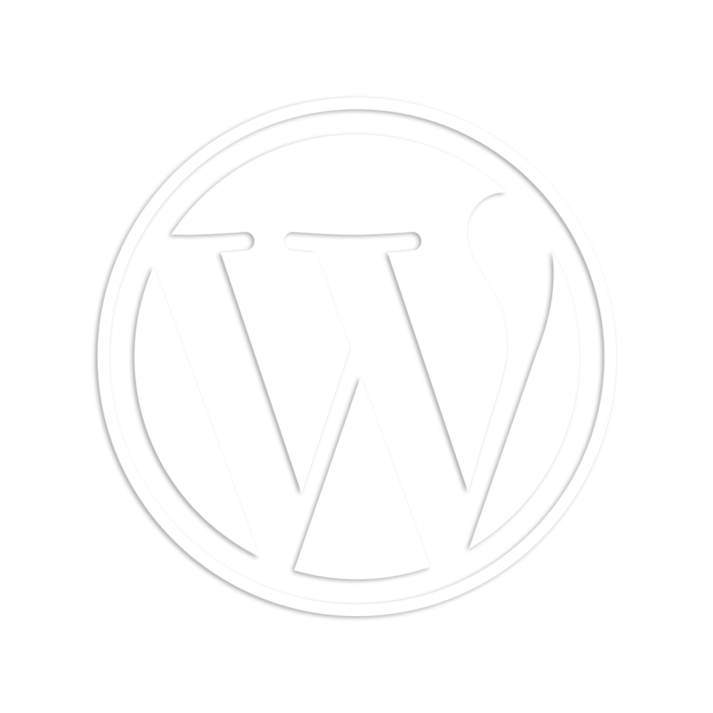 Wordpress speed optimization